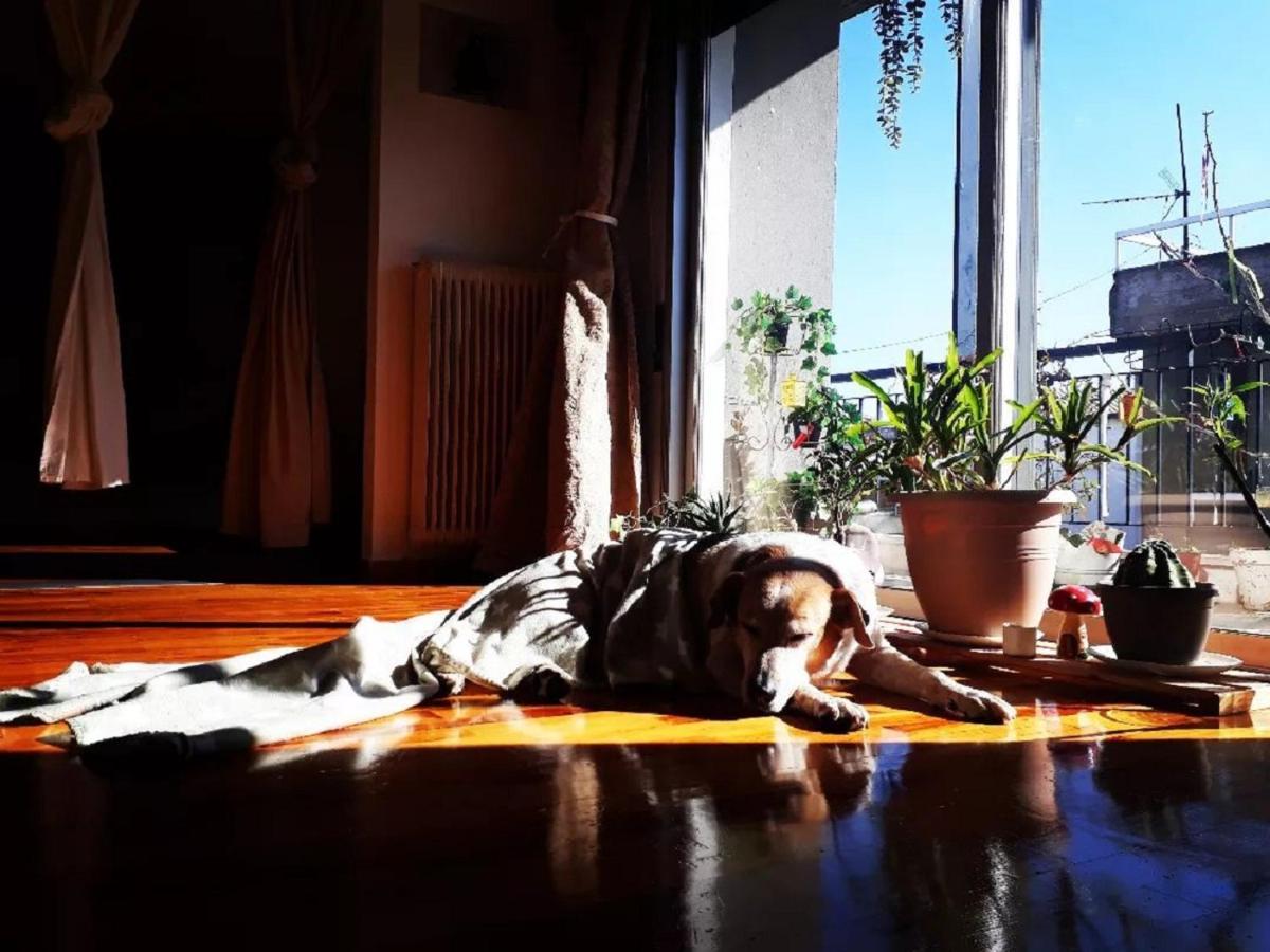 Urban Yoga House Hostel & Retreat ヨアニナ エクステリア 写真